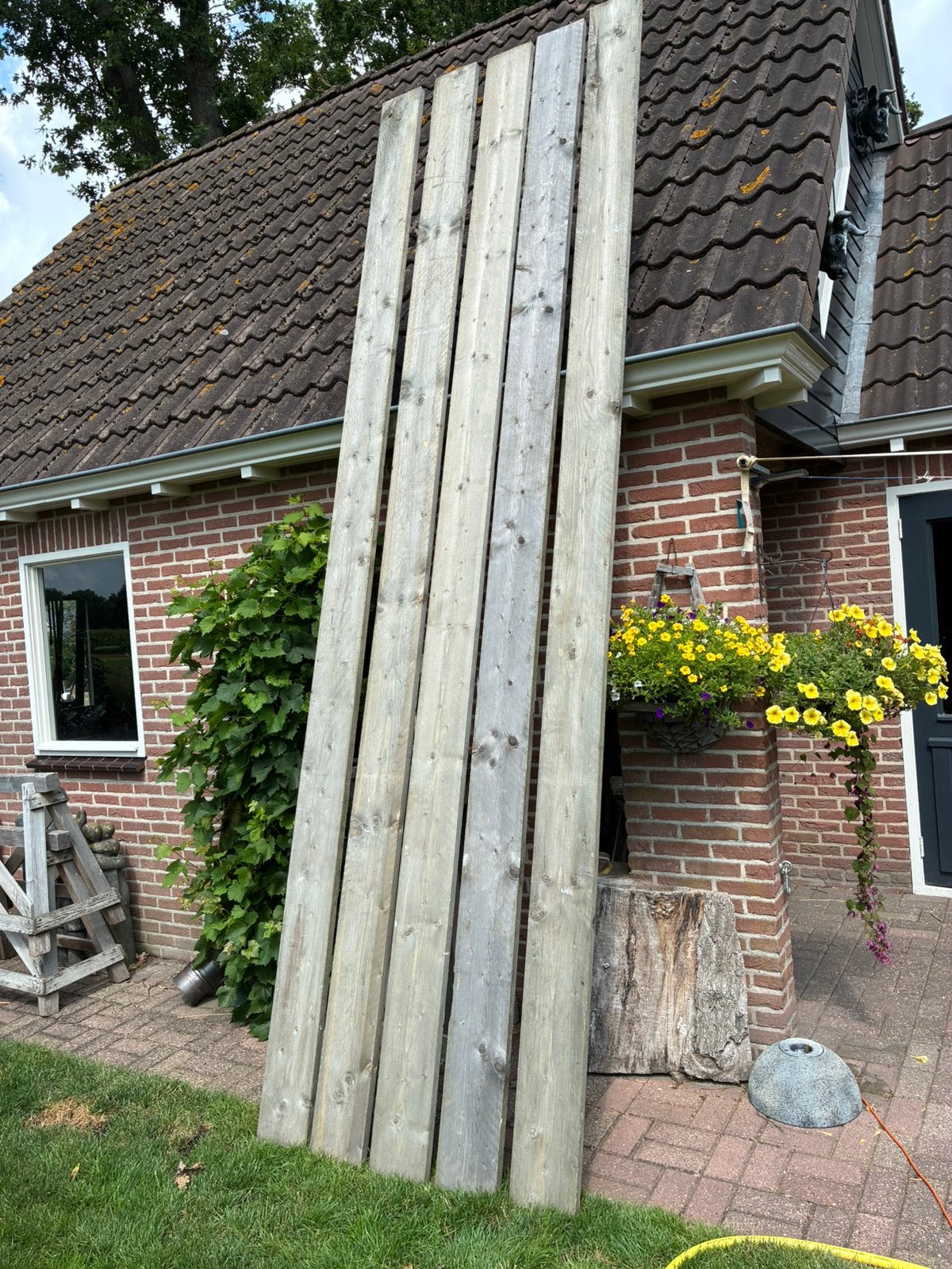 Tk 15 nieuwe vergijsde steigerplanken, Ophalen, 25 tot 50 mm, Zo goed als nieuw, Plank