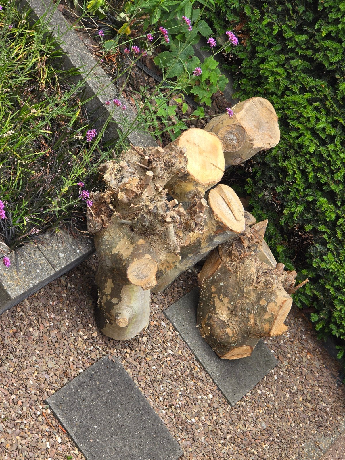 Gratis af te halen - openhaard hout, Minder dan 3 m³, Ophalen, Overige houtsoorten, Stammen
