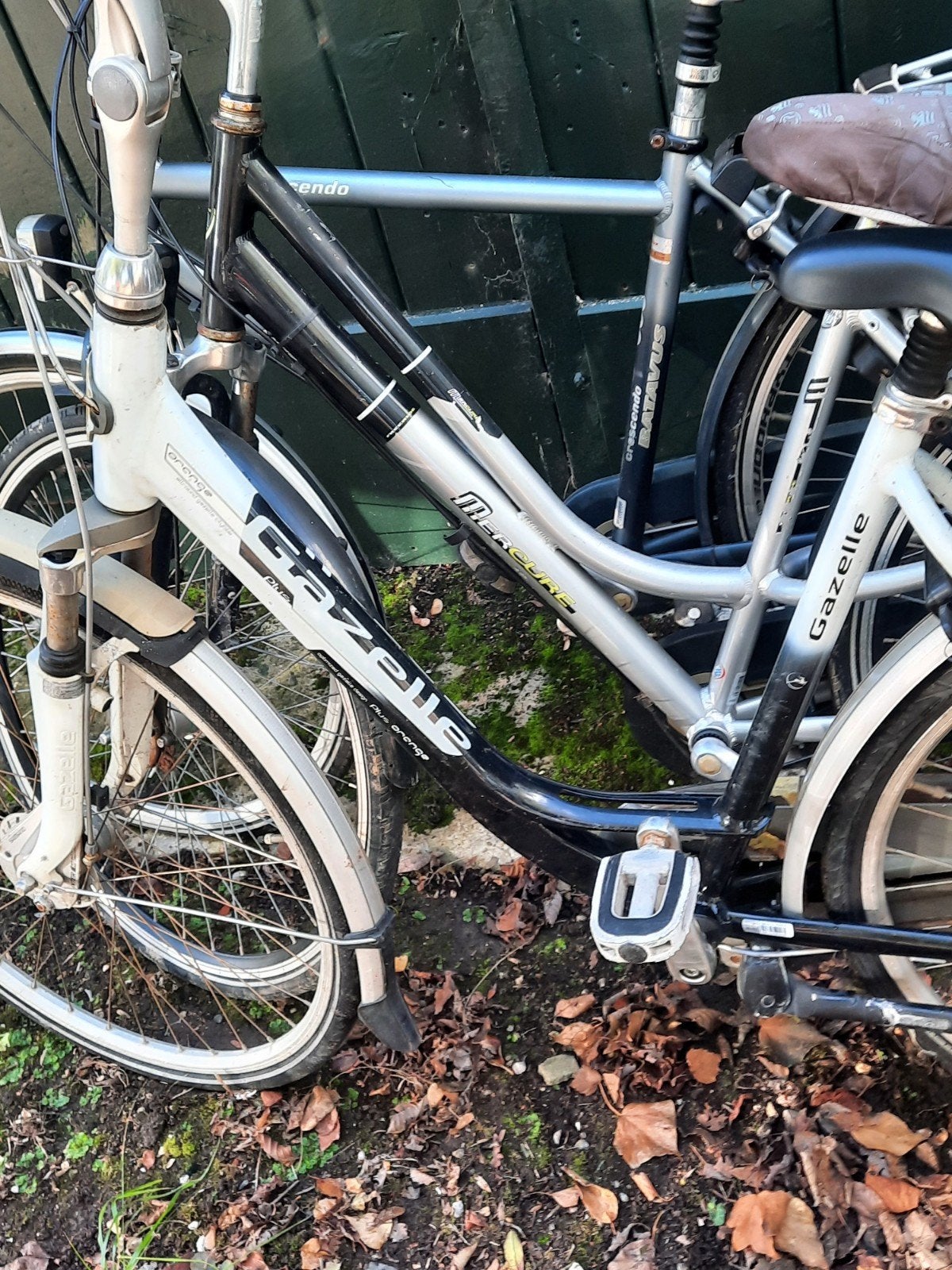 3 opknappers batavus gazelle marcurl, Ophalen of Verzenden