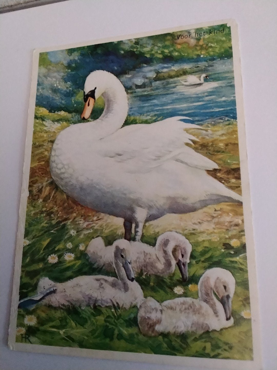 Oude ansichtkaart: Zwaan met jongen,, Ophalen of Verzenden