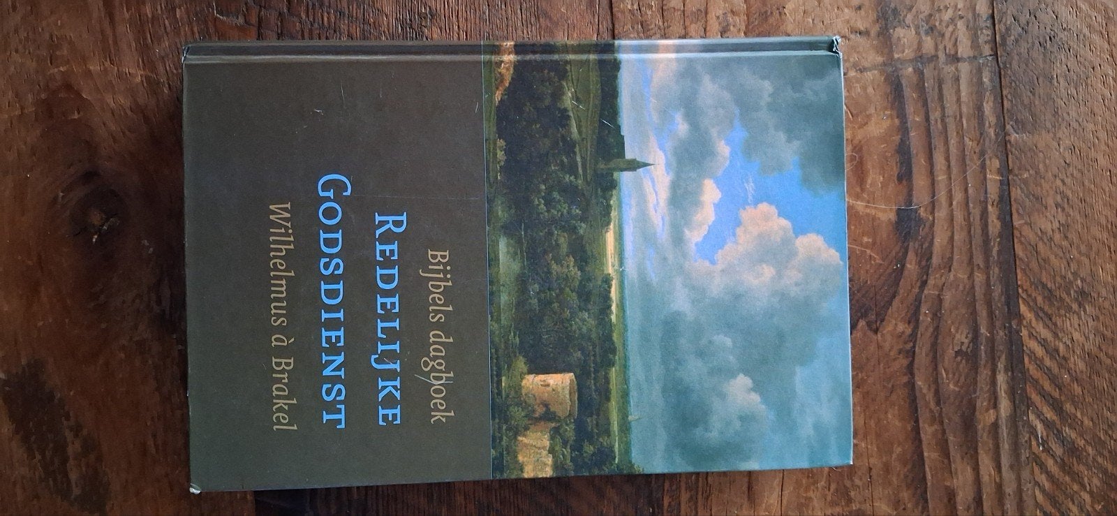Bijbels dagboek redelijke Godsdienst, Boeken, Ophalen of Verzenden, Gelezen