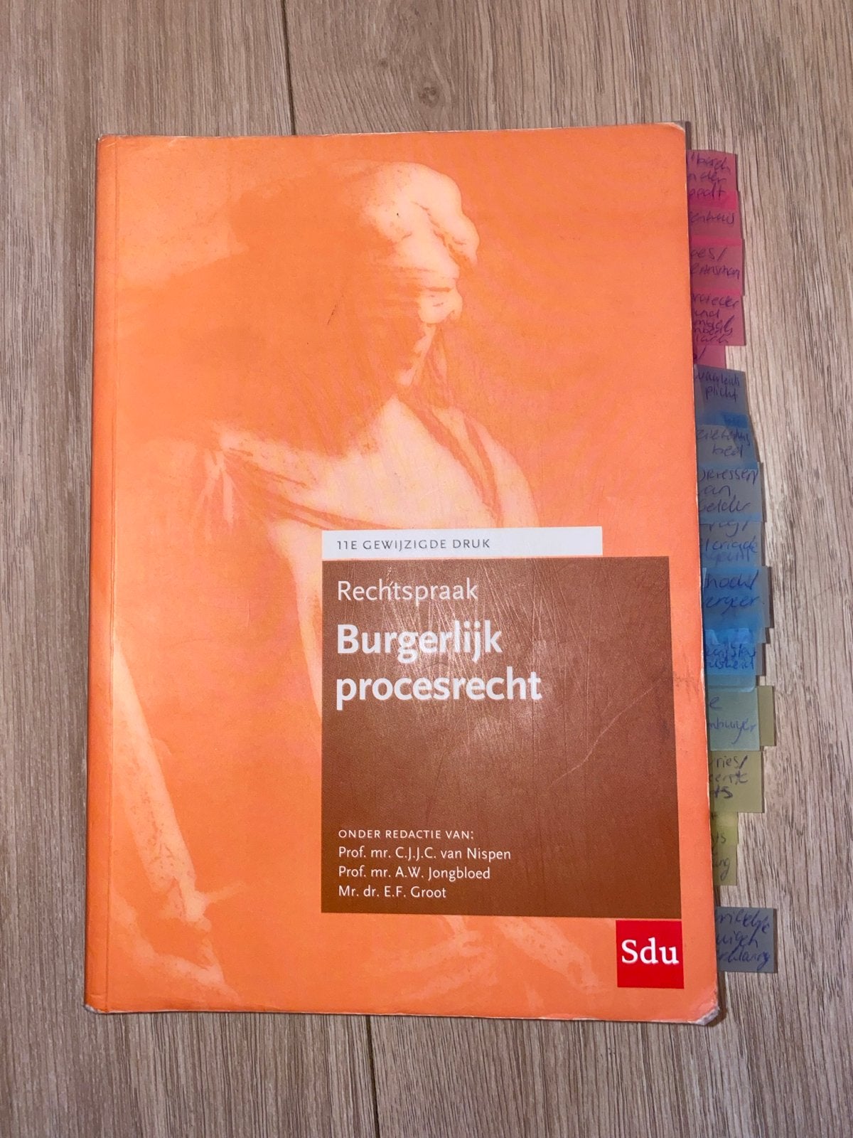 Rechtspraak Burgerlijk Procesrecht - 11e druk, Ophalen of Verzenden, Gamma, Zo goed als nieuw, HBO