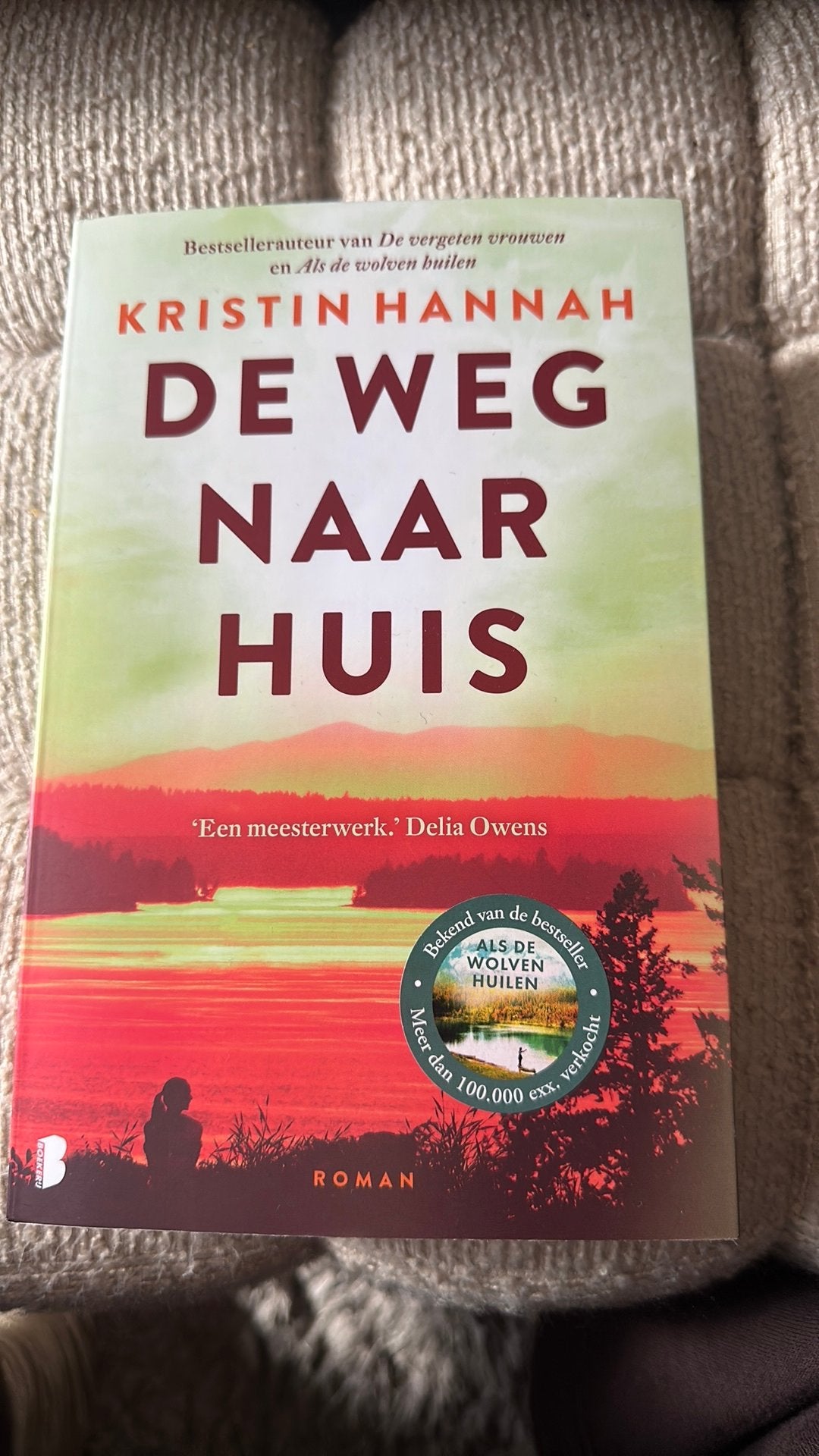 Kristin Hannah - De weg naar huis, Ophalen, Zo goed als nieuw, Kristin Hannah
