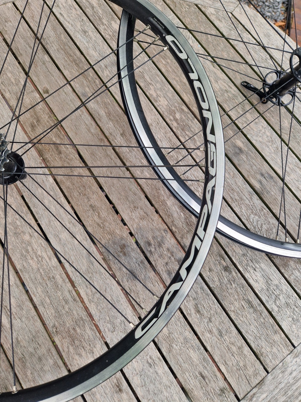 Campagnolo wielen (alleen velgen), Gebruikt, Campagnolo, Aluminium, Racefiets