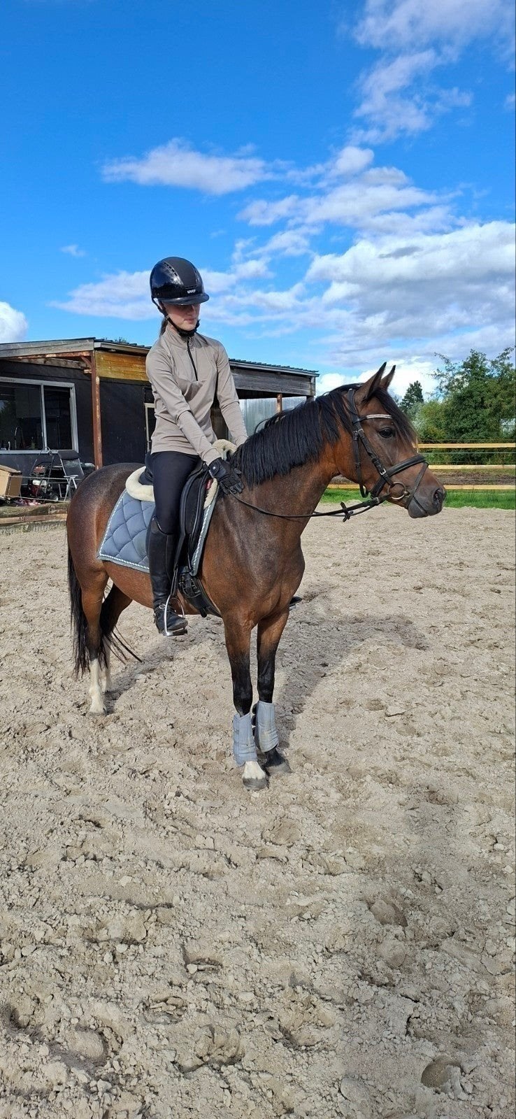 Mooie, zeer tallentvolle 3 jarige c pony, Merrie, B, Dressuurpony, 3 tot 6 jaar