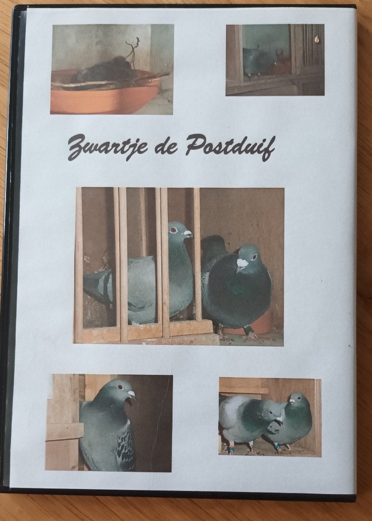 ZWARTJE de postduif Jan Hermans jaren 80, Geslacht onbekend, Postduif