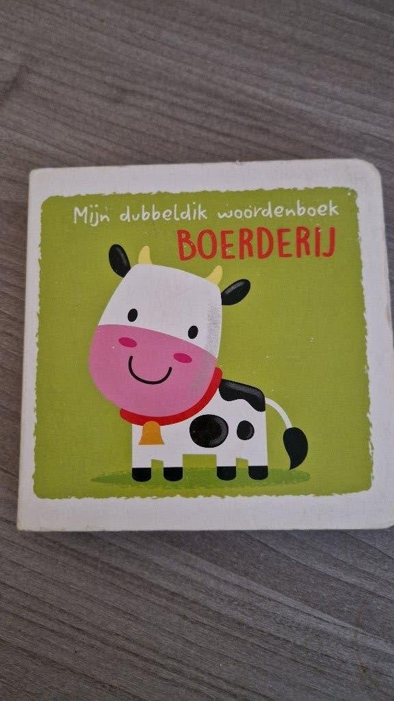 Mijn dubbeldik woordenboek tgv stg Slava Oekraïne Foundation, Ophalen of Verzenden, Zo goed als nieuw, Illustr. Jonathan Miller