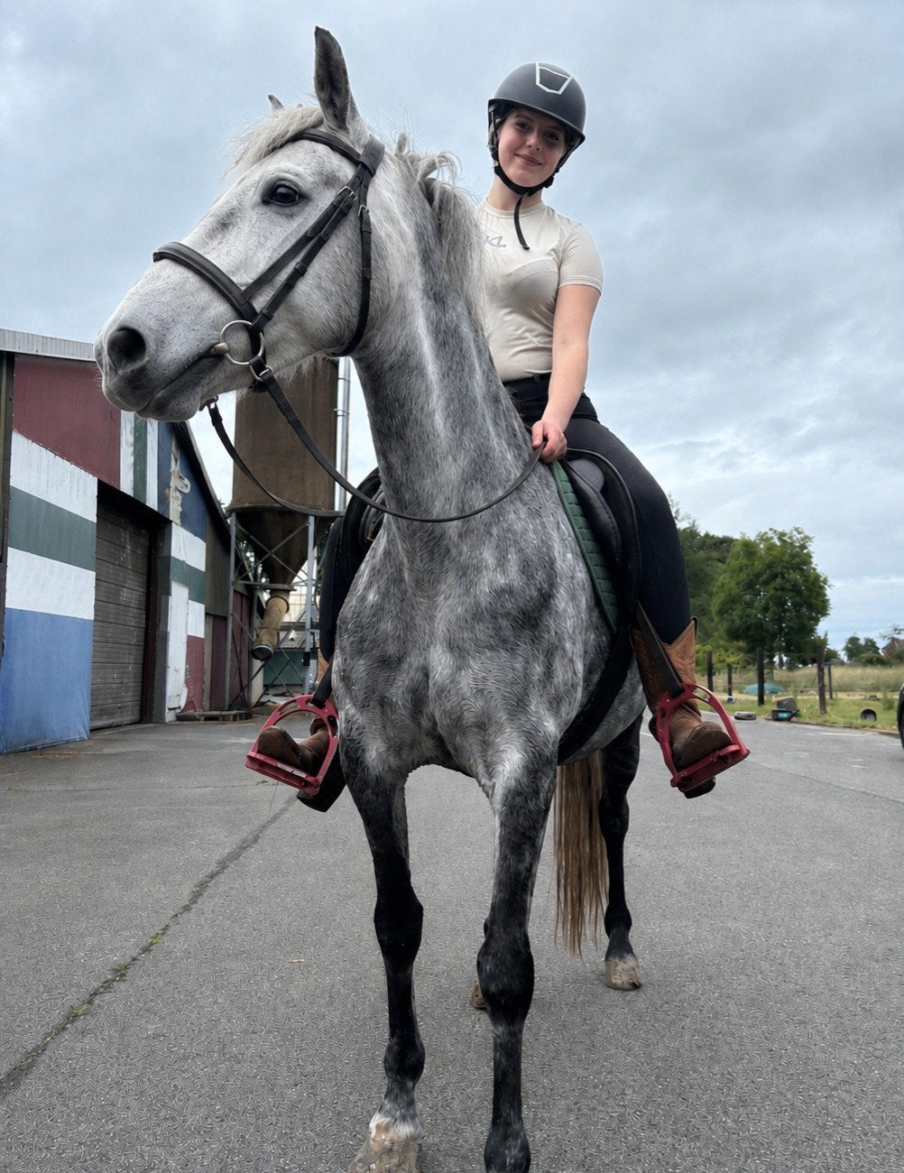 Merrie 6 jaar D pony, Dieren en Toebehoren, Paarden, Minder dan 160 cm, Zadelmak, 3 tot 6 jaar, Recreatiepaard