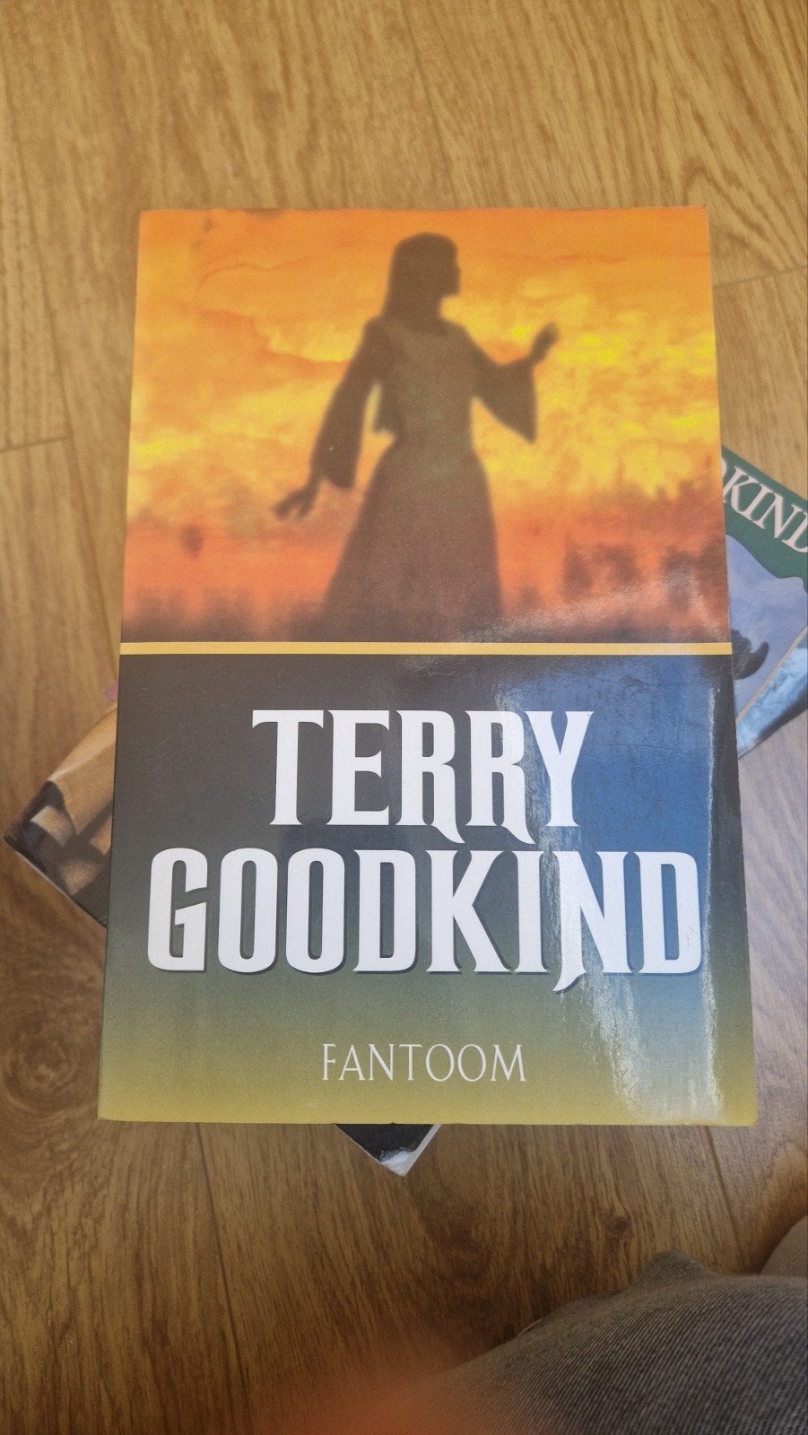 Terry Goodkind - Fantoom (De Tiende Wet), Ophalen of Verzenden