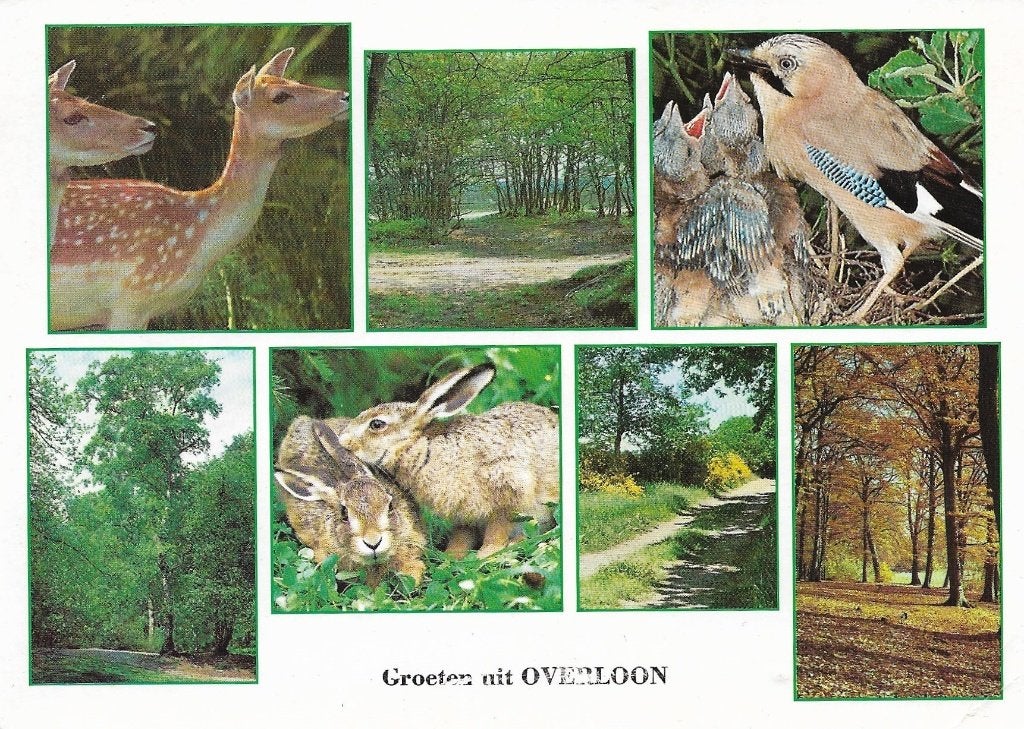 Ansichtkaart  	Overloon	7-luik	Natuur, Verzamelen, Verzenden, 1980 tot heden, Gelopen, Gelderland
