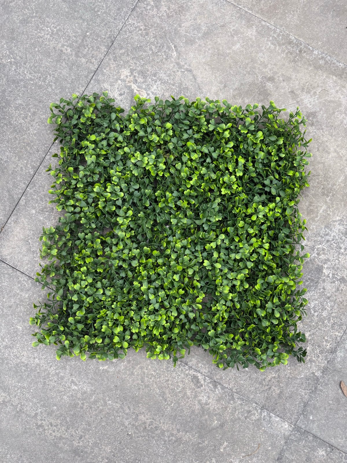10x Kunsthaag Buxusmat 40x40 cm - Groen, Tuin en Terras, Planten | Tuinplanten, Overige soorten, Volle zon, Bloeit niet, Ophalen