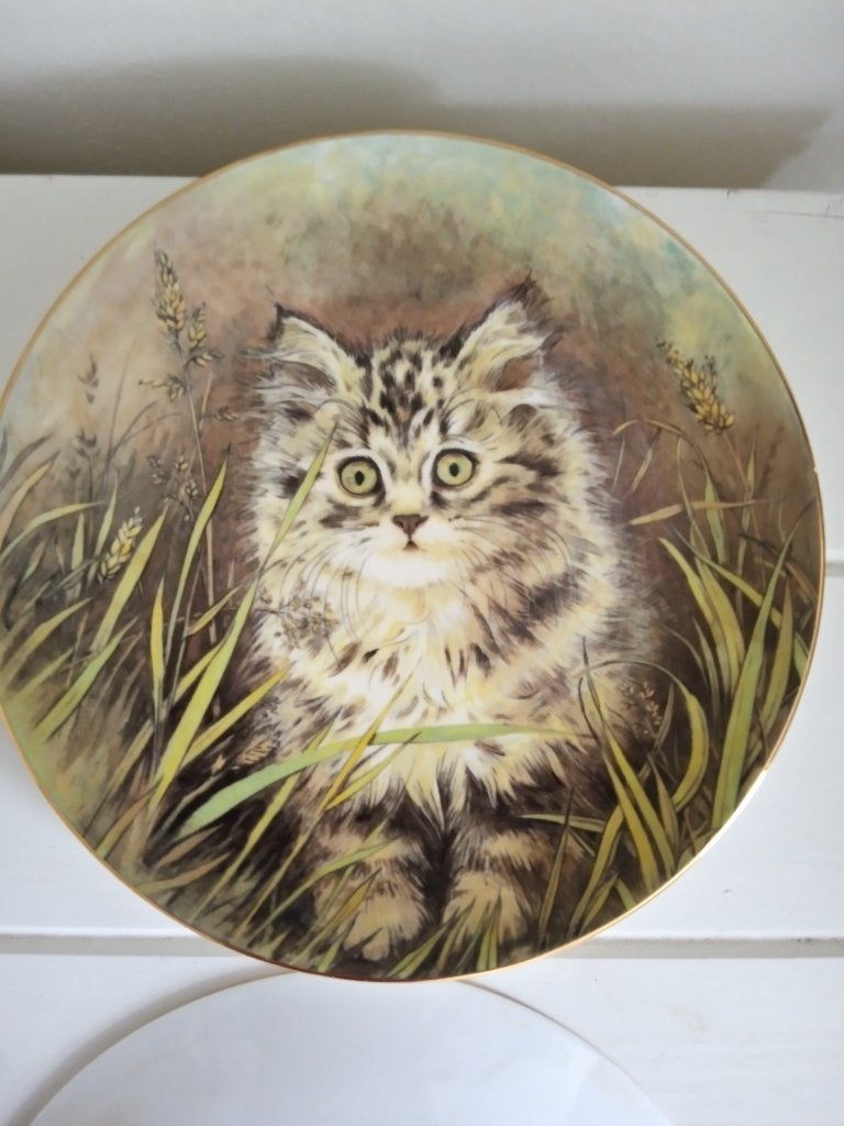 wandbord kitten classics, Ophalen