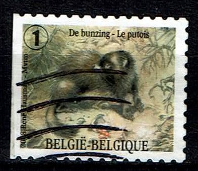Bunzing, links ongetand 2008 (OBP 3839 ), Ophalen of Verzenden, Gestempeld