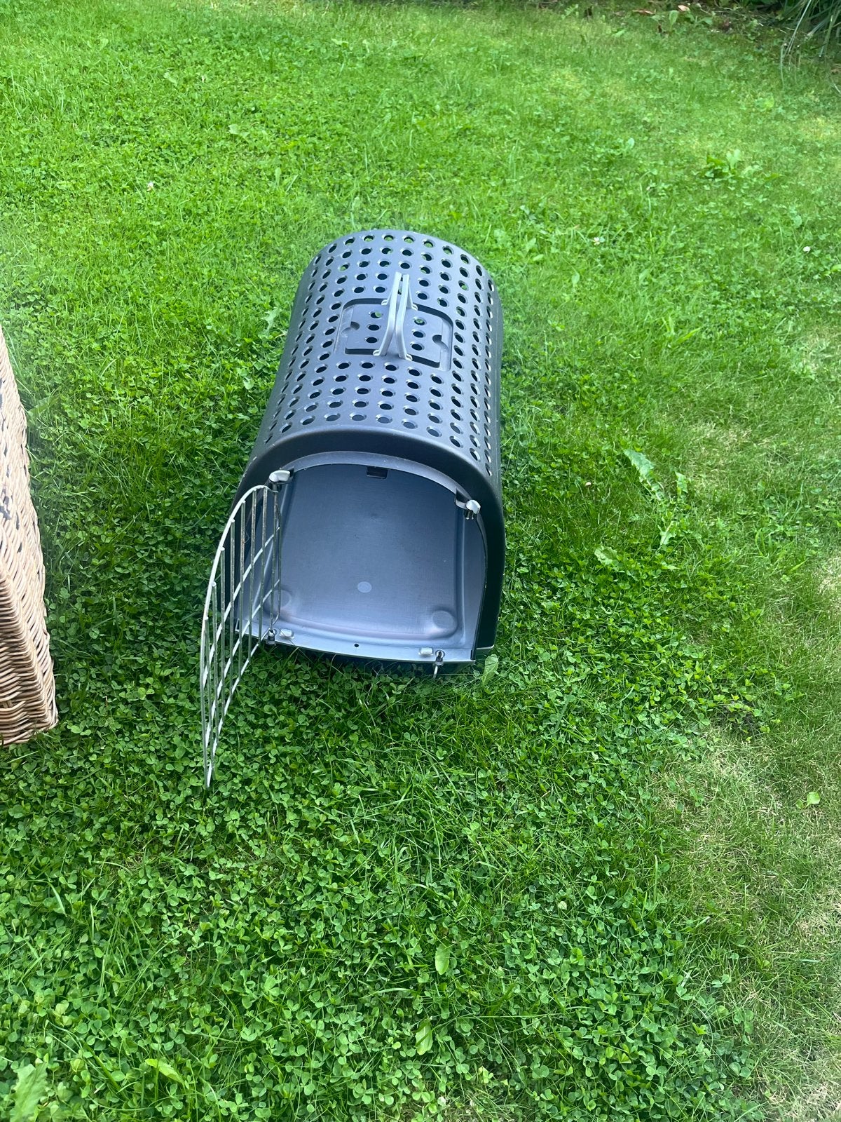 Reis bench kat/hond, Dieren en Toebehoren, Transportboxen, Ophalen, Zo goed als nieuw