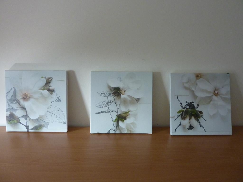3 x schilderij bloem wit Ikea Klövsjö, Minder dan 50 cm, Verzenden, Zo goed als nieuw, Schilderij