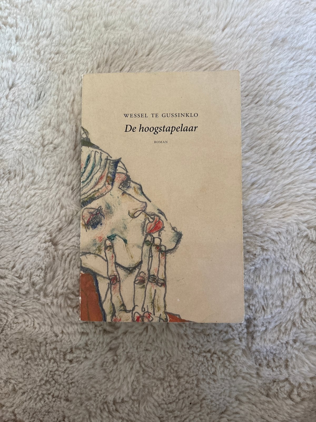 De Hoogstapelaar - Wessel te Gussinklo (Roman), Ophalen of Verzenden, Gelezen, Nederland