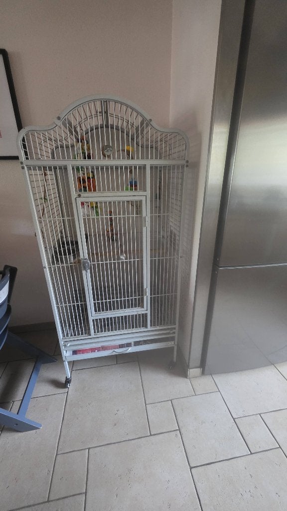 Vogelkooi te koop, Dieren en Toebehoren, Vogels | Hokken en Kooien, Ophalen, Zo goed als nieuw, Metaal, Vogelkooi