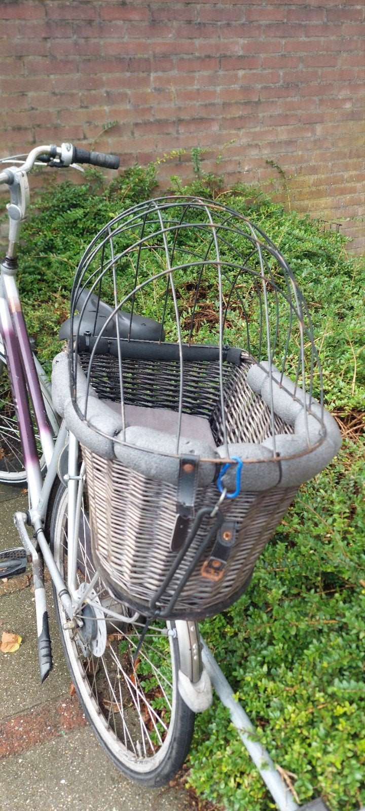 hondenfietsmandje, Ophalen, Fietsmand