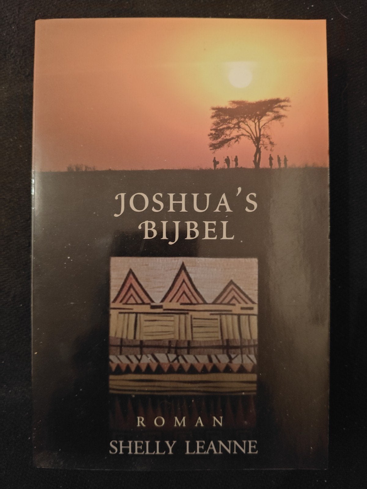 Joshua's Bijbel - Roman van Shelly Leanne, Gelezen, Shelly Leanne, Ophalen of Verzenden, Amerika