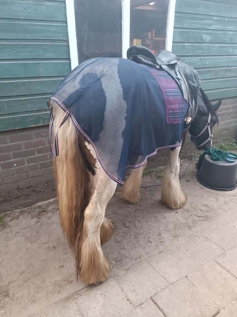 vliegen gaas uit rijdekken, Ophalen, Gebruikt, Cob (M), Overige materialen