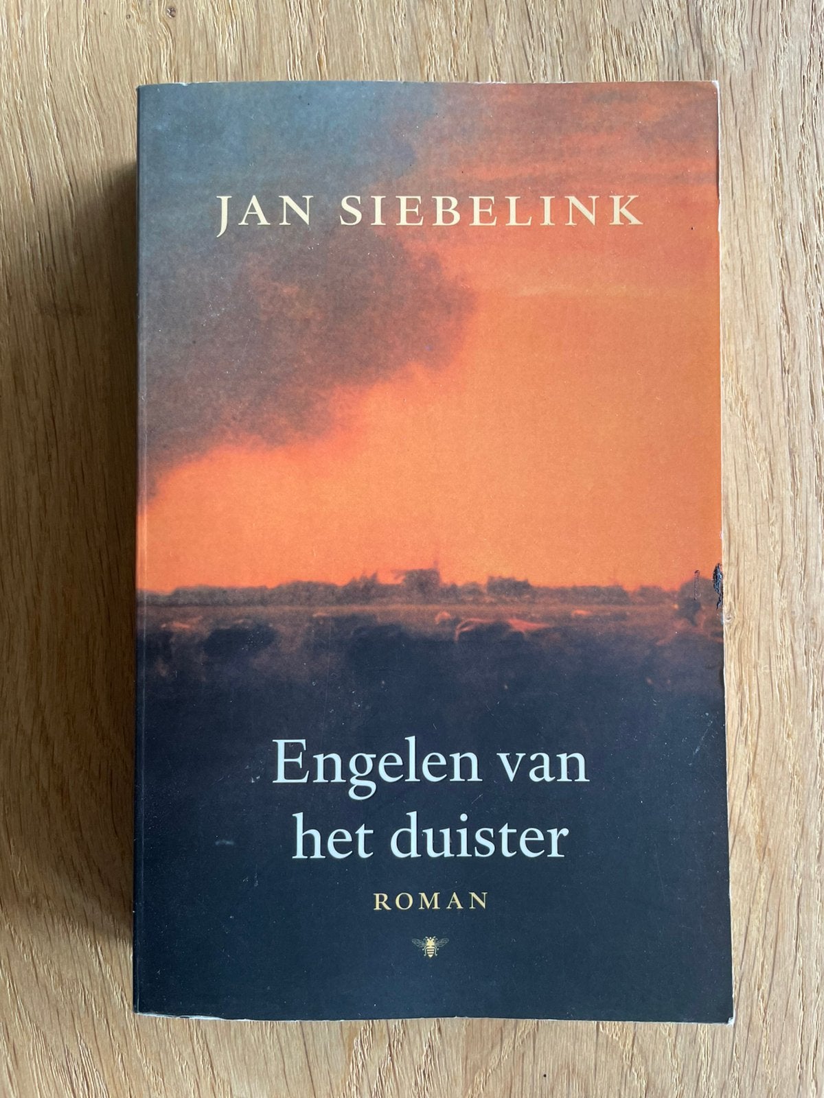boek Engelen van het duister, Jan Siebelink 2006 Bezige bij, Ophalen of Verzenden, Gelezen, Nederland