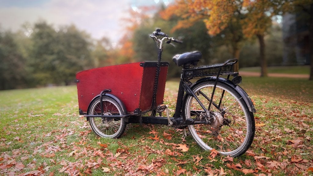 Babboe Big Electrisch - Euro 500, Fietsen en Brommers, 4 kinderen of meer, Gebruikt, Elektrisch, Schijfrem