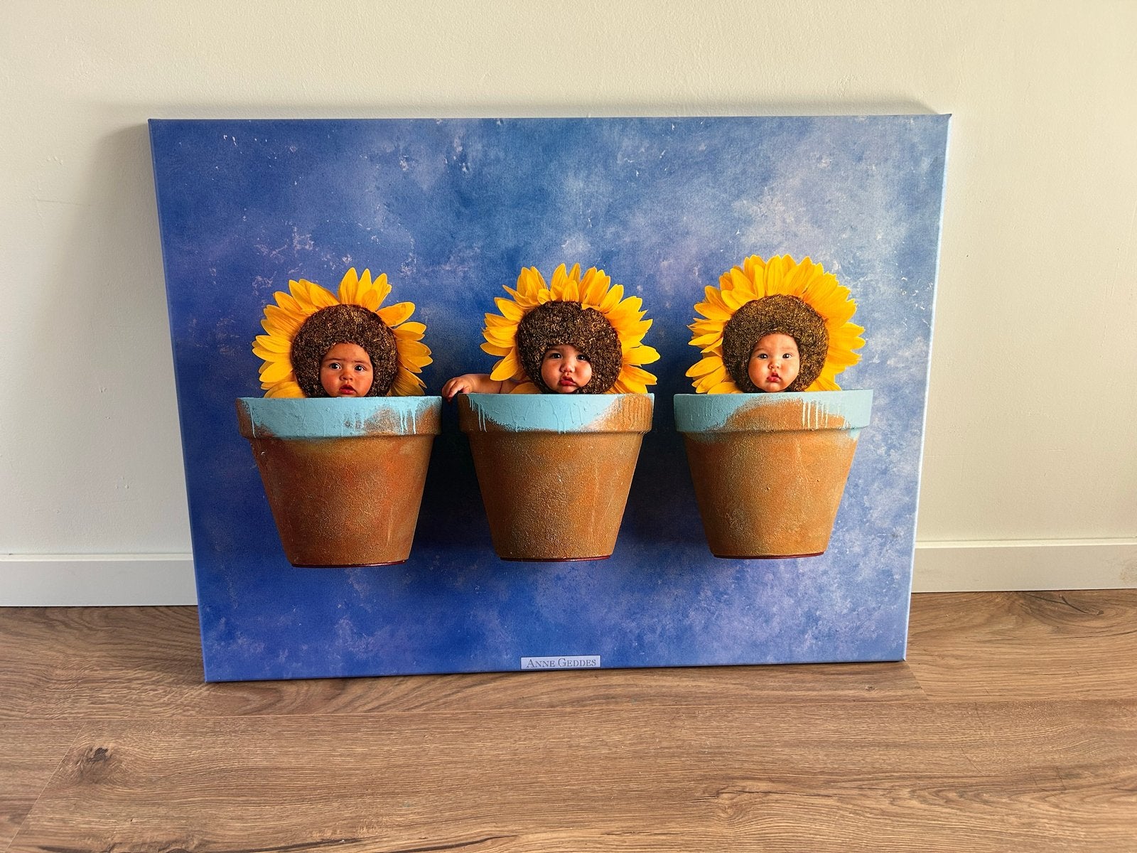 ‘Sunflower baby’ van Anne Geddes, 50 – 75, Ophalen of Verzenden, Zo goed als nieuw, Schilderij