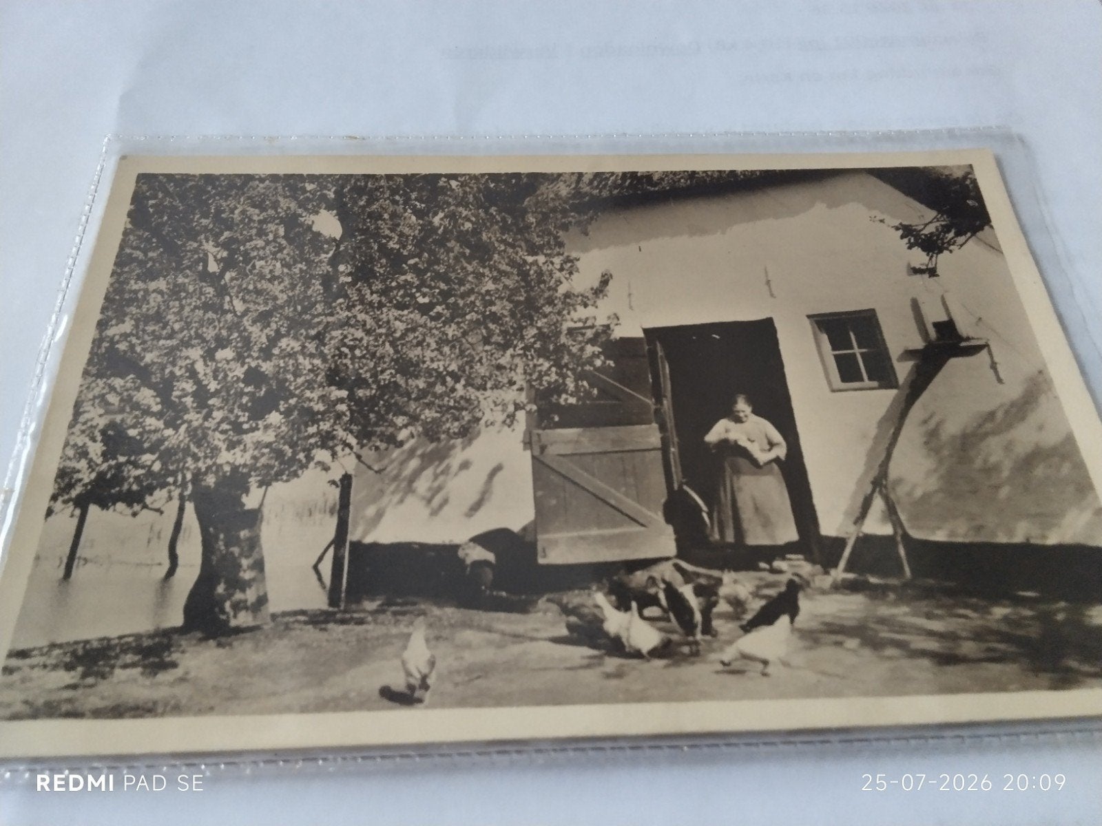 Oude ansichtkaart 1931: Vrouw met kippen bij boerderij, Ophalen of Verzenden, 1920 tot 1940, Zuid-Holland