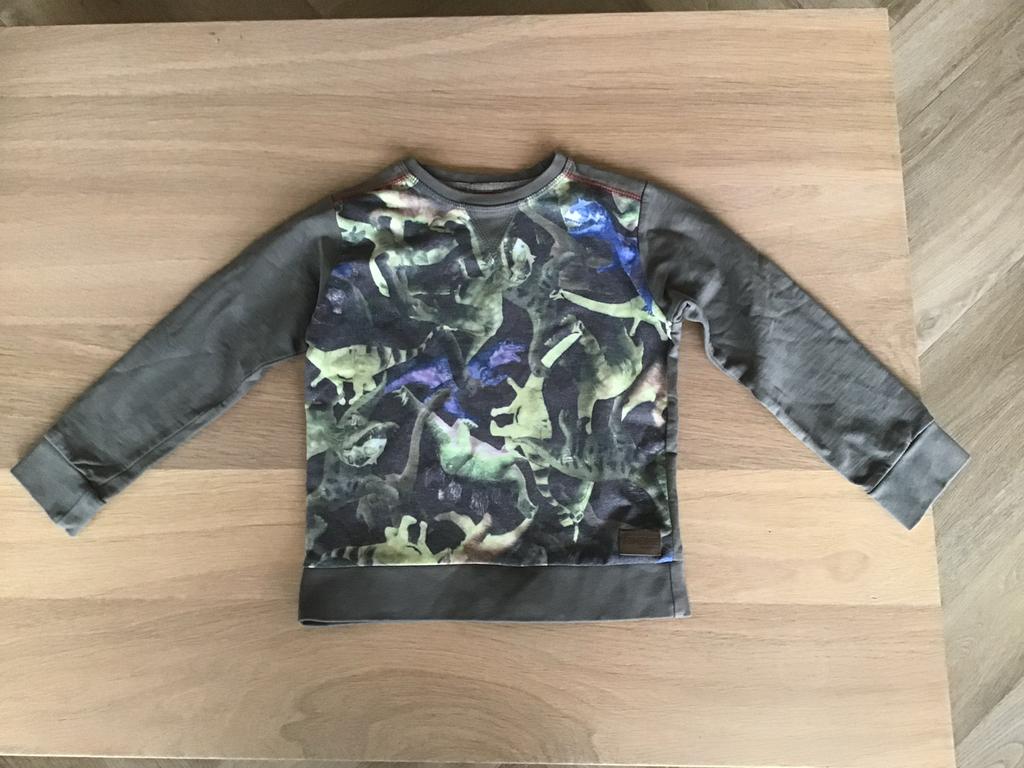 Someone trui met dinosaurusprint - Maat 116, Ophalen of Verzenden, Zo goed als nieuw, Jongen, Trui of Vest