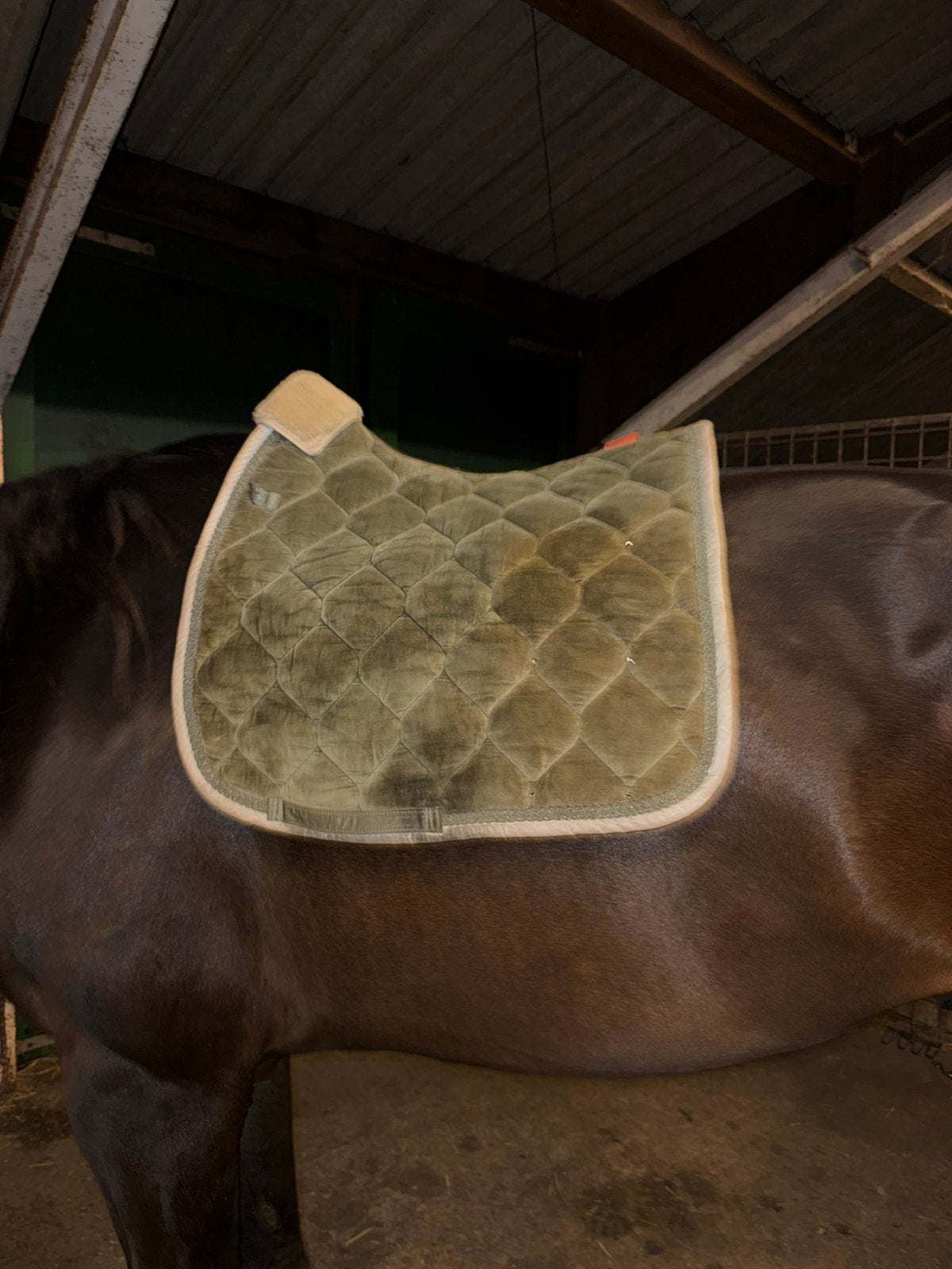 Eskadron platinum, Dieren en Toebehoren, Full (L), Dressuurdekje, Ophalen of Verzenden, Zo goed als nieuw