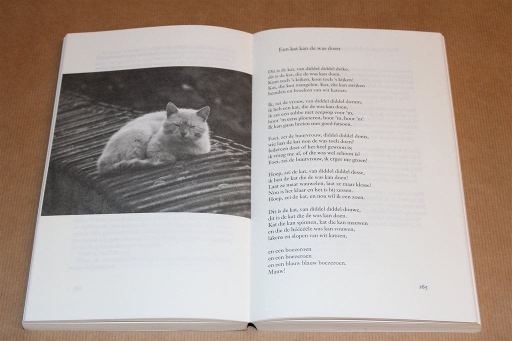 Het Grote Poezenboek van Annie M.G. Schmidt — Alle Verhalen, Ophalen of Verzenden, Gelezen