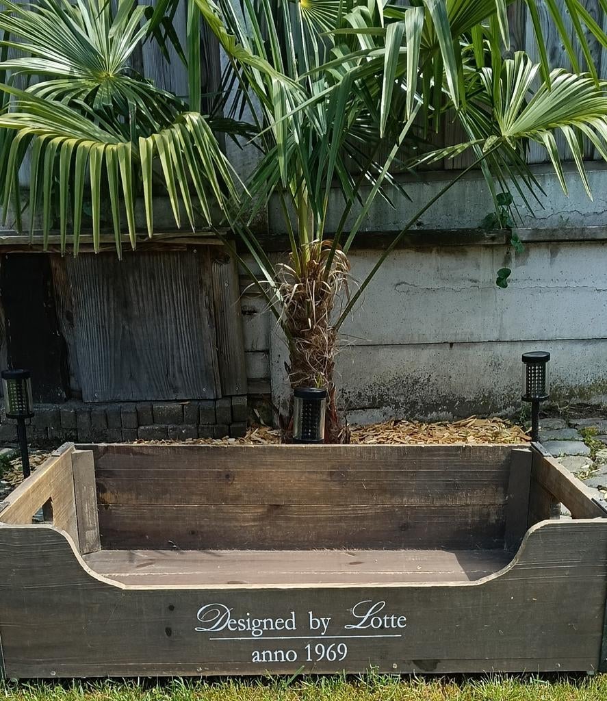 Hondebed Designed by Lotte (groot), Dieren en Toebehoren, Hondenmanden, Ophalen, Overige