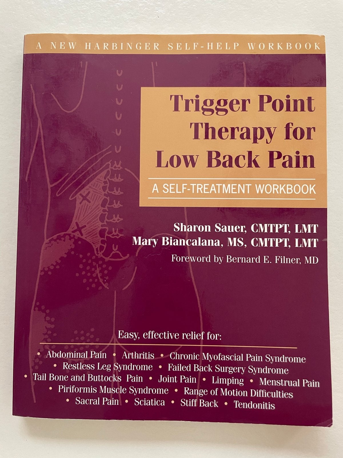 Trigger Point Therapie voor Lage Rugpijn - Zelfhulpboek, Ophalen of Verzenden, Zo goed als nieuw, Gezondheid en Conditie