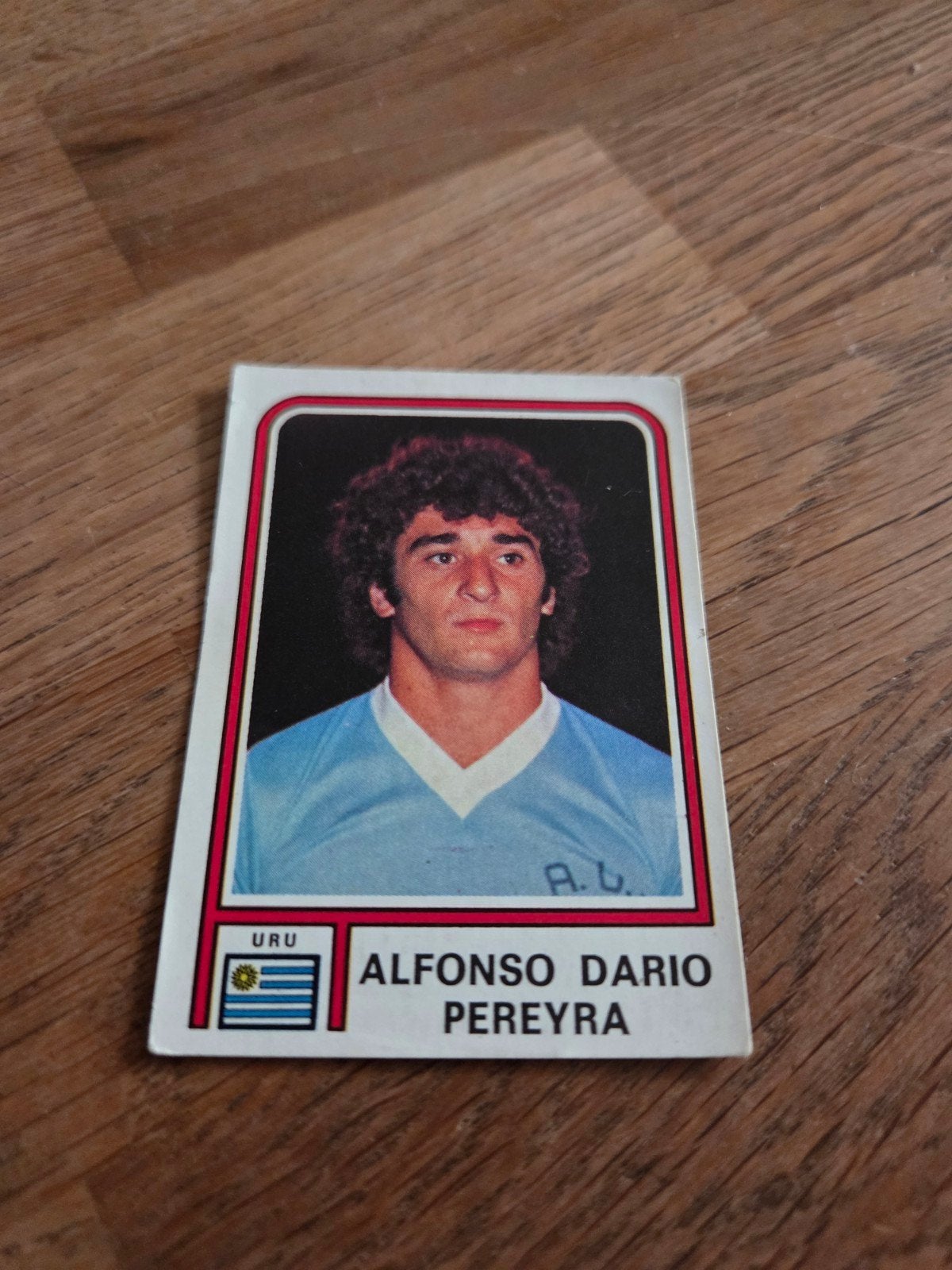 Panini WK 78, Ophalen of Verzenden, Zo goed als nieuw, Sticker