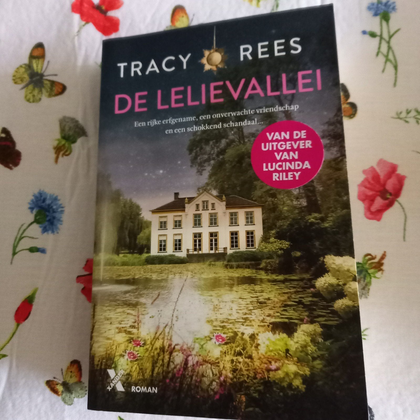 De Lelievallei - Tracy Rees (Roman), Boeken, Ophalen of Verzenden, Zo goed als nieuw, Tracy Rees, Europa overig