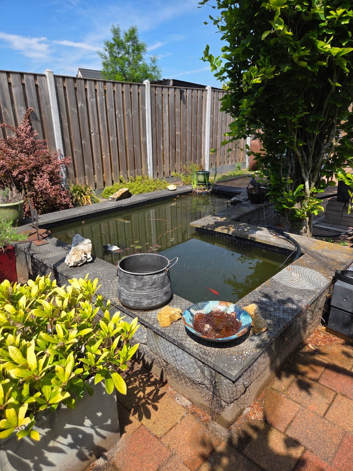 Tuinvijver met vissen, inclusief filter, uv lamp, fontein,, Ophalen