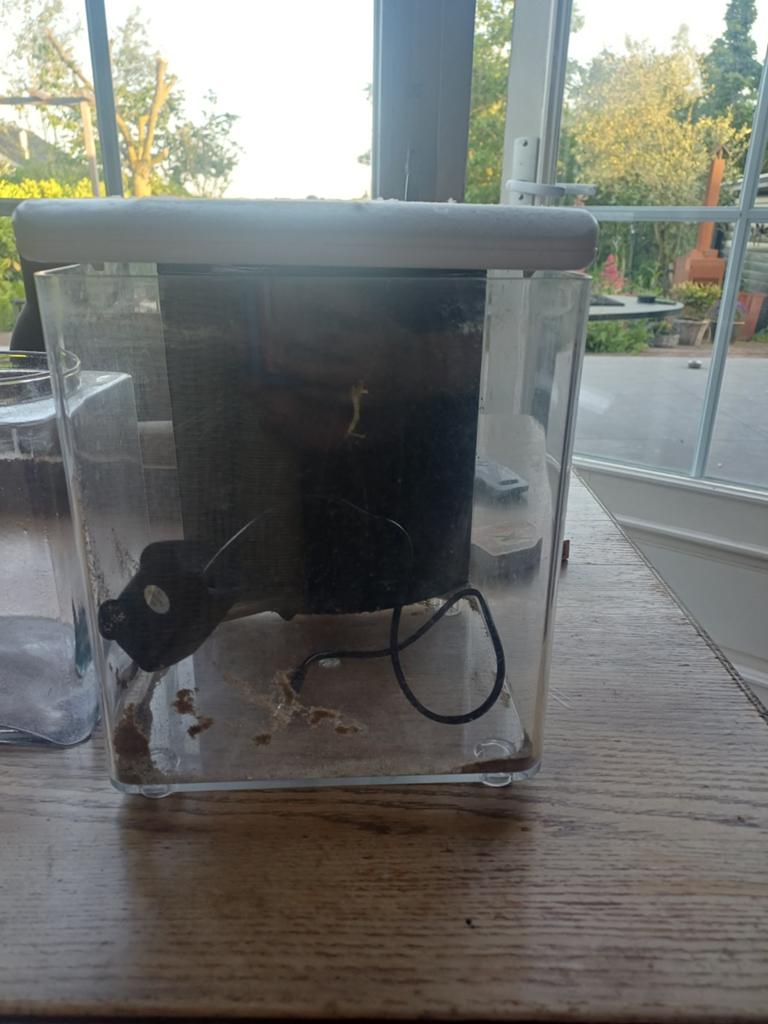 Superfish aquarium, Dieren en Toebehoren, Vissen | Aquaria en Toebehoren, Ophalen, Inclusief slangen, Leeg aquarium, Superfish