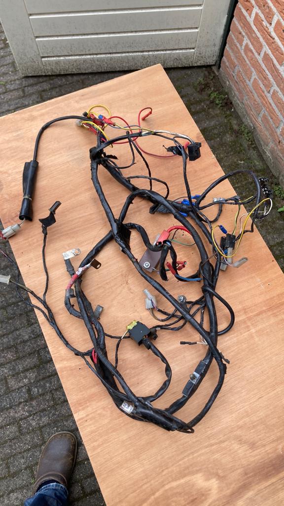Zip kabelboom, Ophalen of Verzenden, Nieuw, Overige typen, Piaggio