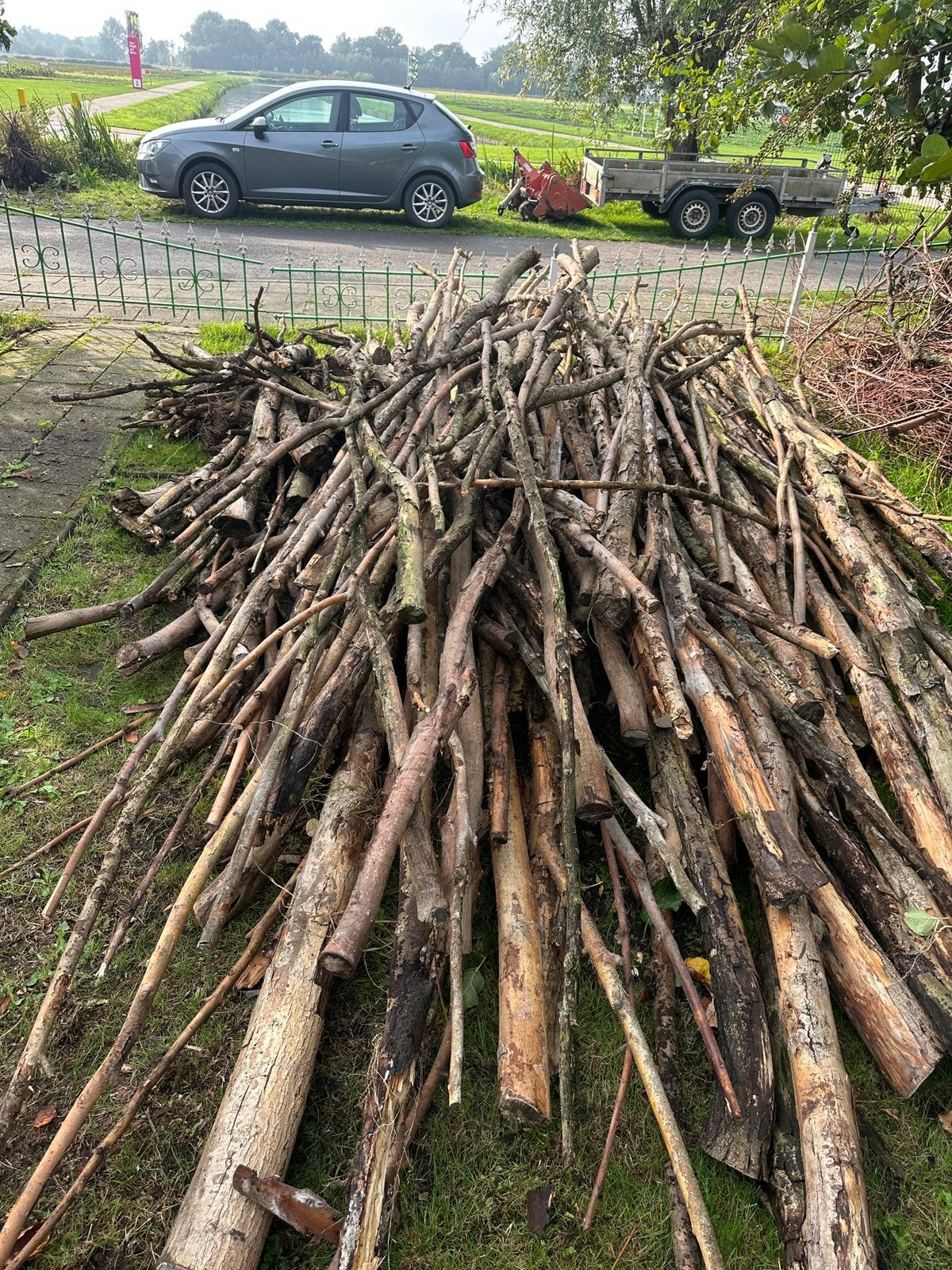 Gratis partij hout/ takken, Tuin en Terras, Minder dan 3 m³, Ophalen