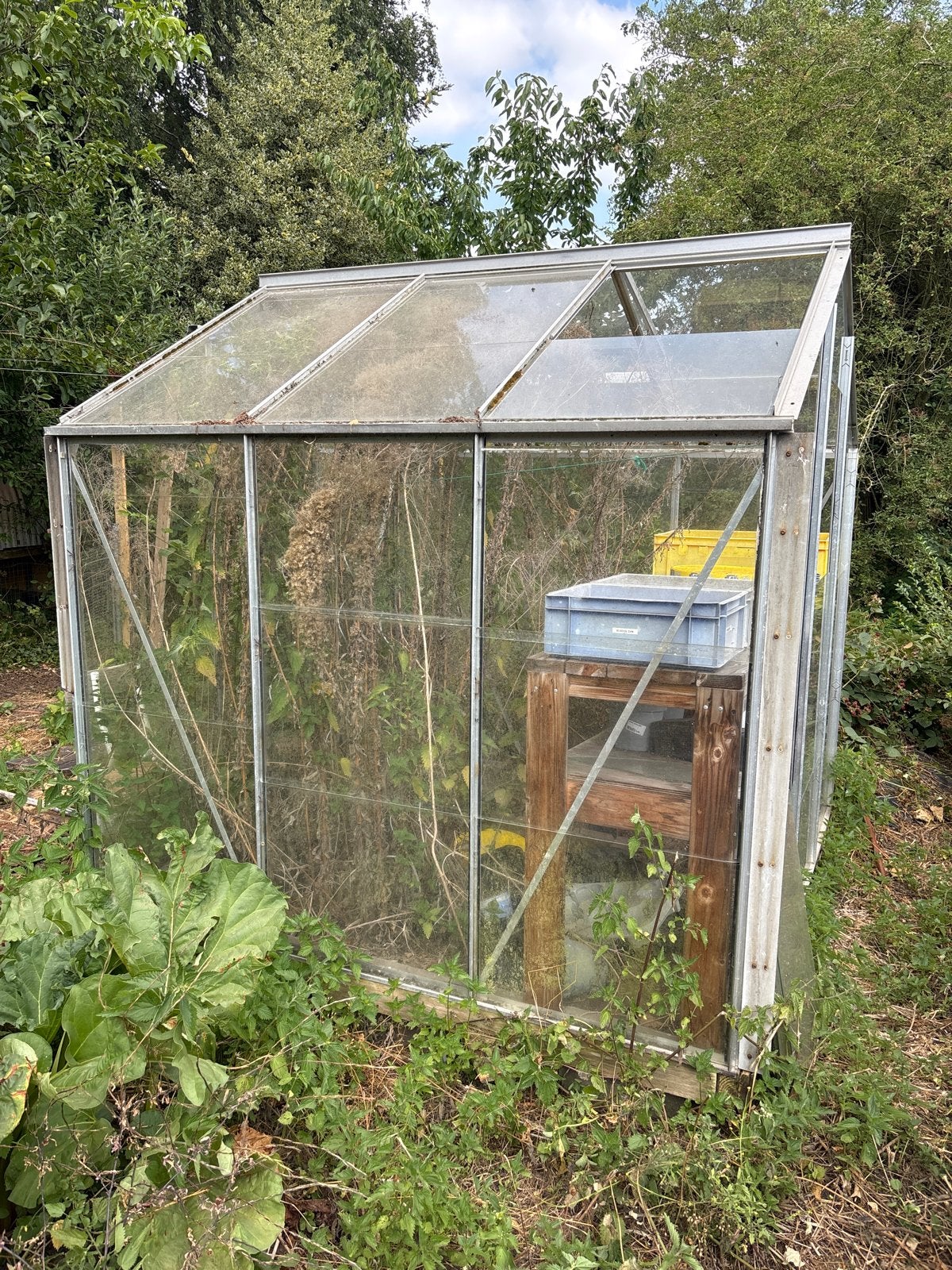 Gebruikte kas met aluminium frame en glazen panelen, Ophalen, Gebruikt, Kweekkas, Glas