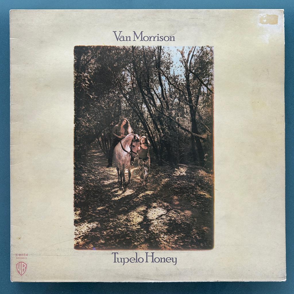 Van Morisson - Tupelo Honey, LP, Ophalen of Verzenden, Gebruikt, 12 inch, Poprock
