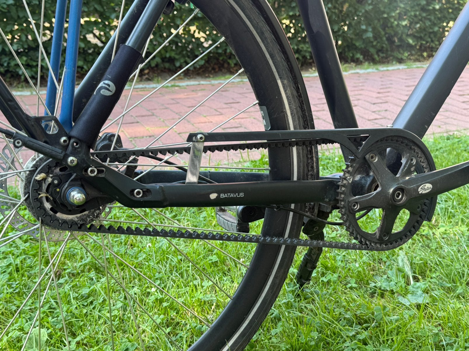 Batavus Chicane | Riem aandrijving | Schijfremmen | H61 cm, Batavus, Ophalen of Verzenden, Zuidlaren, Schijfrem