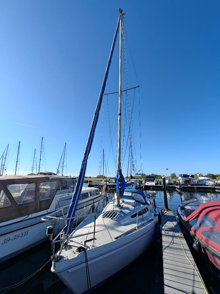 Seamaster 815, inclusief ligplaats!, Watersport en Boten, Ophalen, Gebruikt, Polyester, Diesel