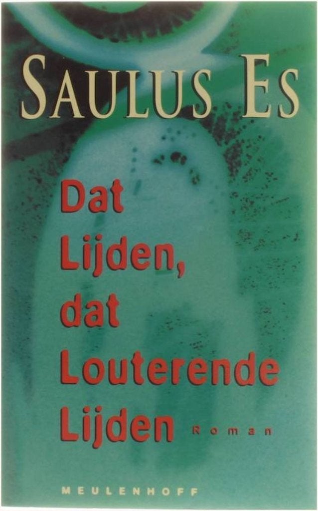 Dat lijden, dat louterende lijden. Saulus Es, Ophalen of Verzenden, Zo goed als nieuw