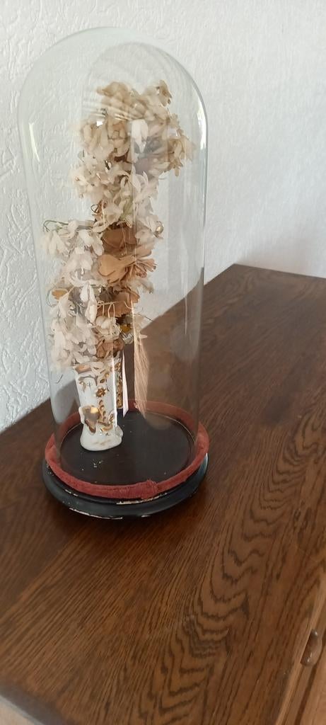 Antieke stolp met gedroogde bloemen, Ophalen of Verzenden