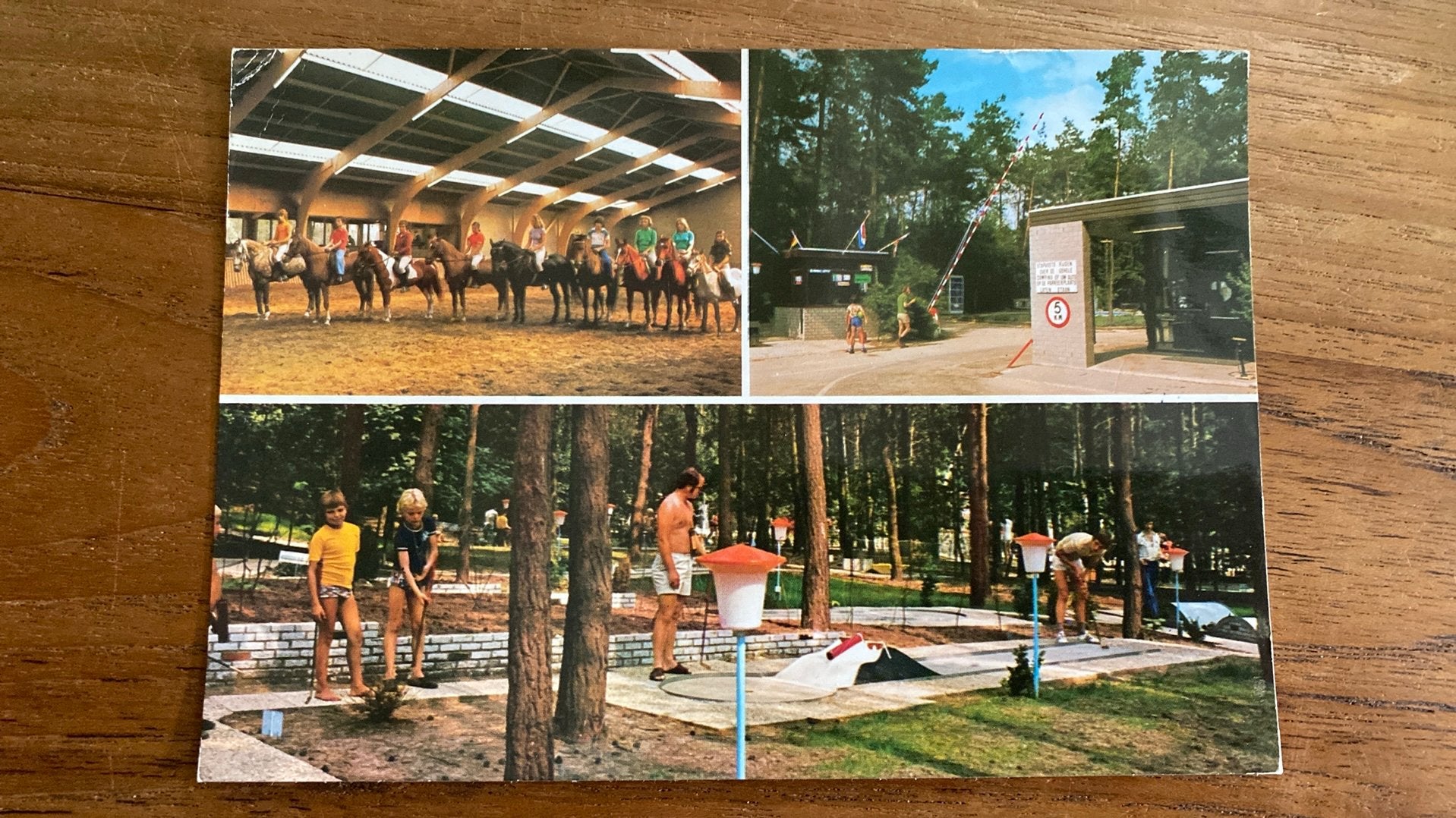 Ansichtkaart recreatieoord “de berckt” Baarlo Limburg 1979, Ophalen of Verzenden, 1960 tot 1980, Gelopen, Limburg