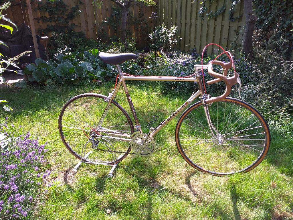 Gazelle Champion Mondial 1980, Ophalen, Jaren '60 of nieuwer, Velgrem, Campagnolo