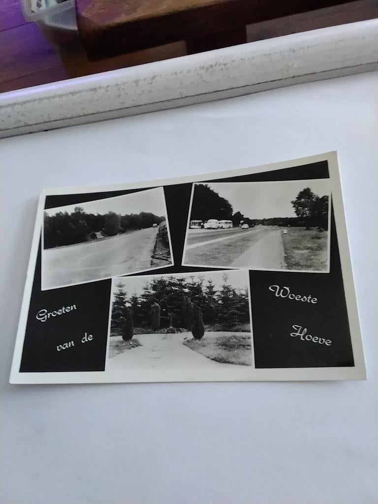 GROETEN VAN DE WOESTE HOEVE 1956, Ophalen of Verzenden, 1940 tot 1960