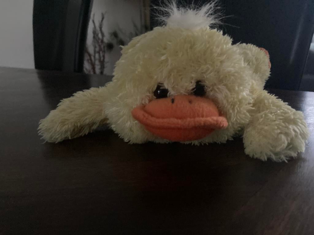 ZGAN Leuke zachte pluche eend met klittenband, Ophalen, Zo goed als nieuw, Eend