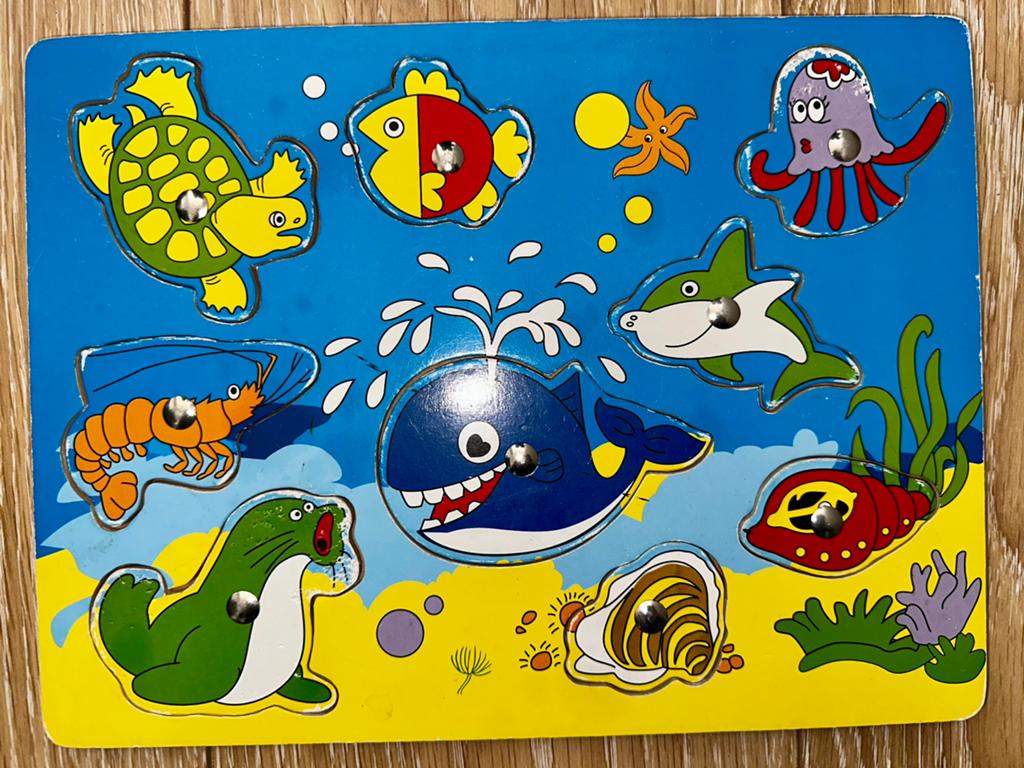 Houten puzzels met zeedieren en gekleurde blokken, Ophalen of Verzenden, Gebruikt, Overige typen